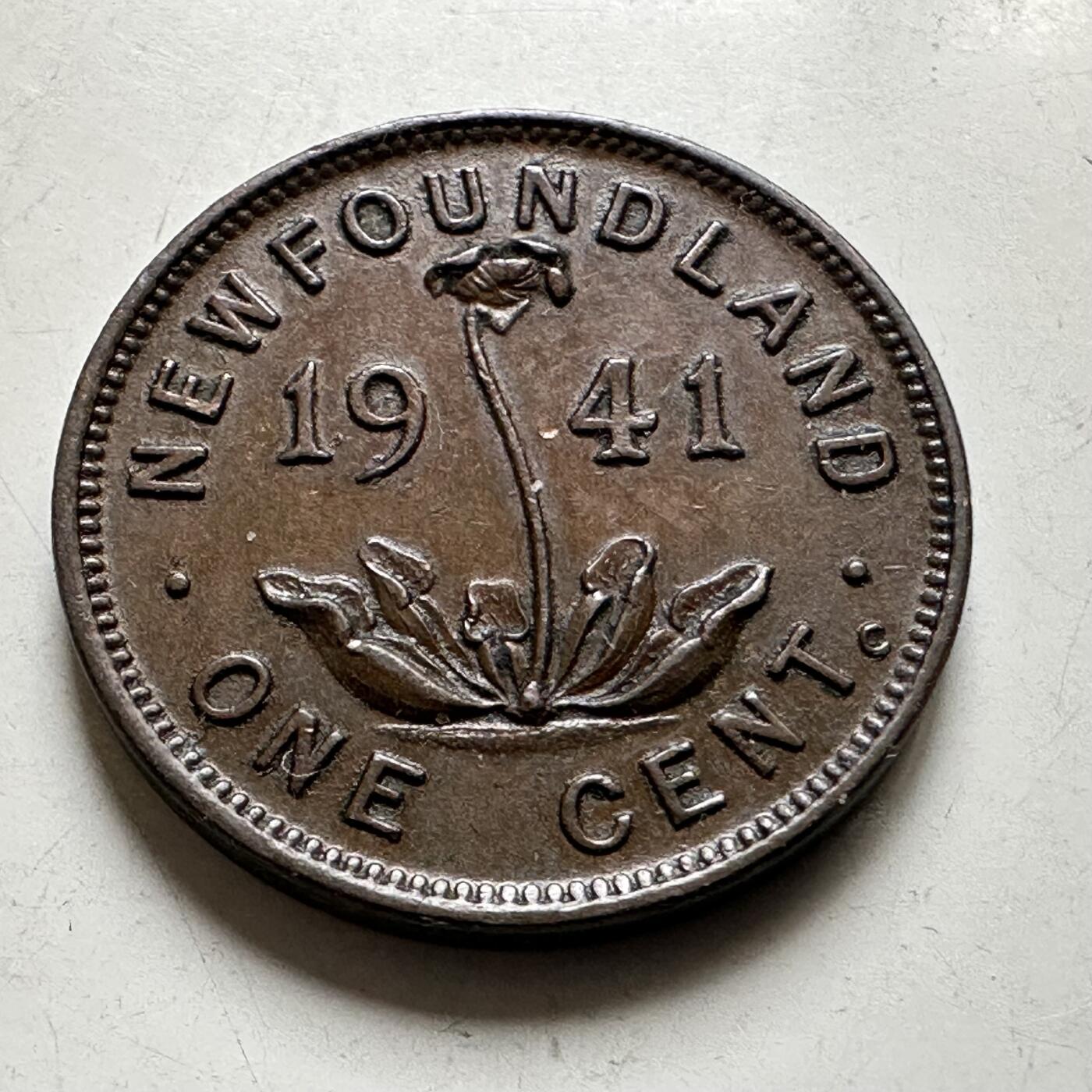 🌹外币初藏🌹🐯2026年第38场   每周二四六晚8️⃣点 世界钱币