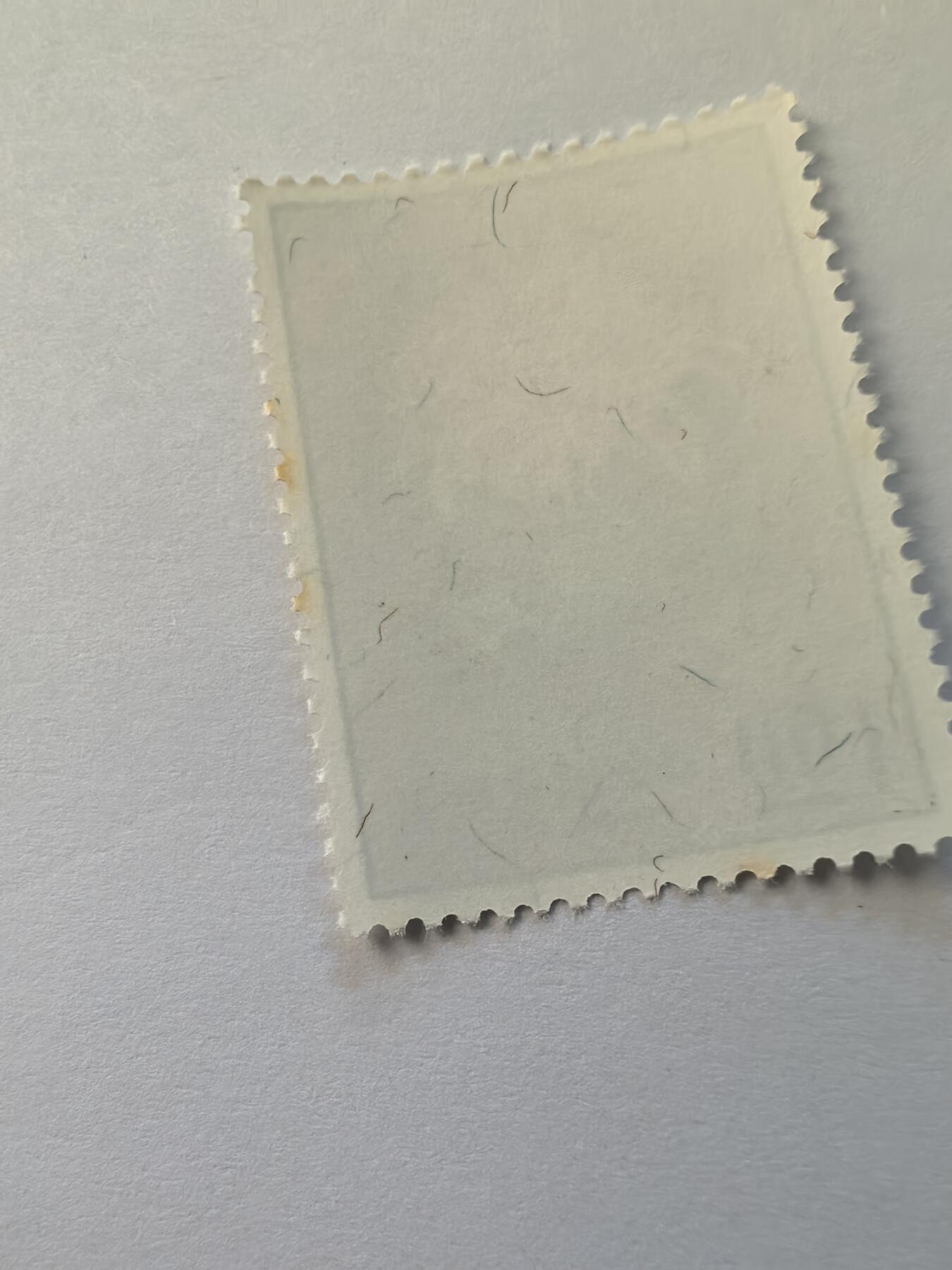 杂票 中国邮票 菊花1枚新1元有黄点