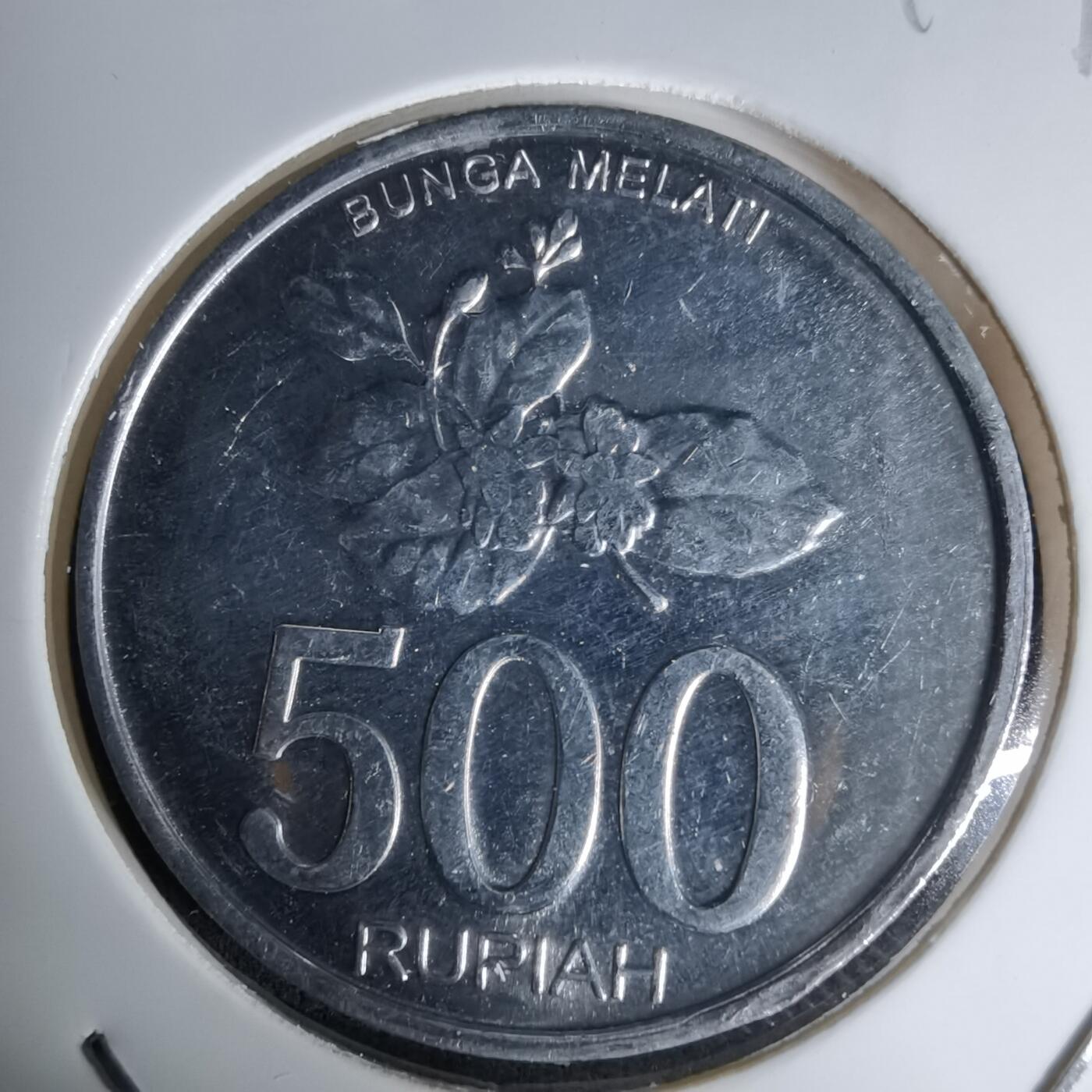 沼泽如烟--第1045场