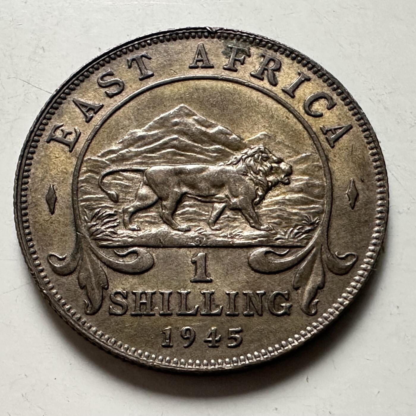 🌹外币初藏🌹🐯2026年第38场   每周二四六晚8️⃣点 世界钱币