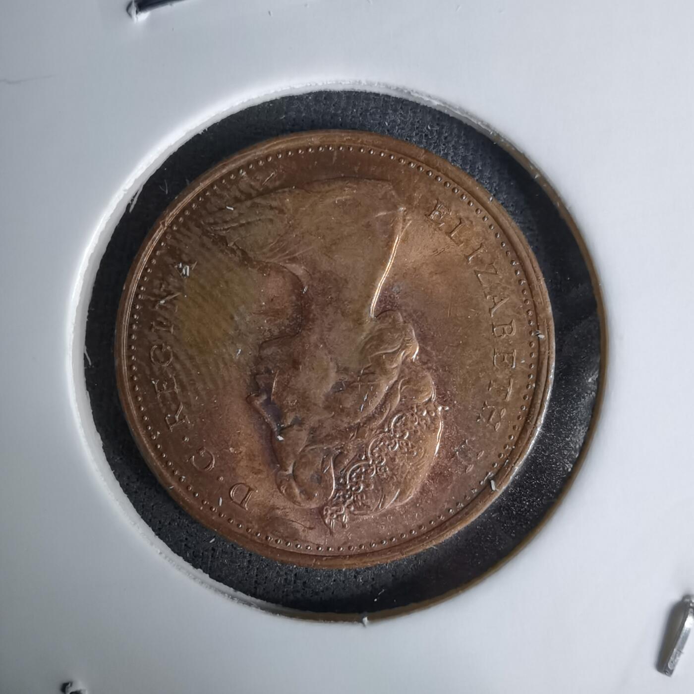 沼泽如烟--第1045场