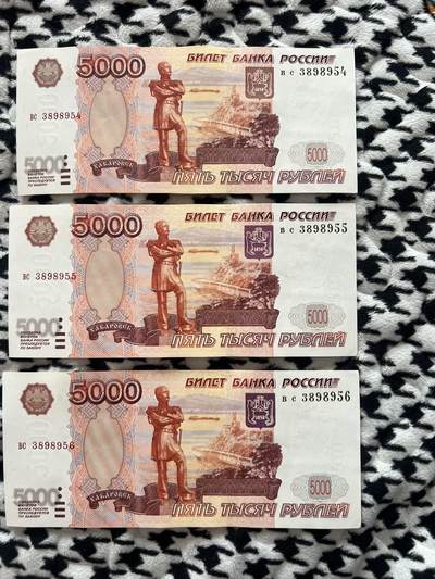 俄罗斯5000紫熊 - 俄罗斯5000紫熊