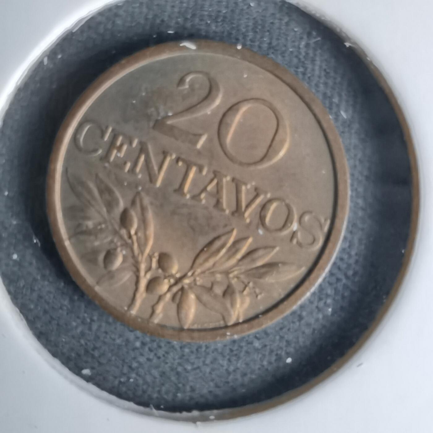 沼泽如烟--第1045场