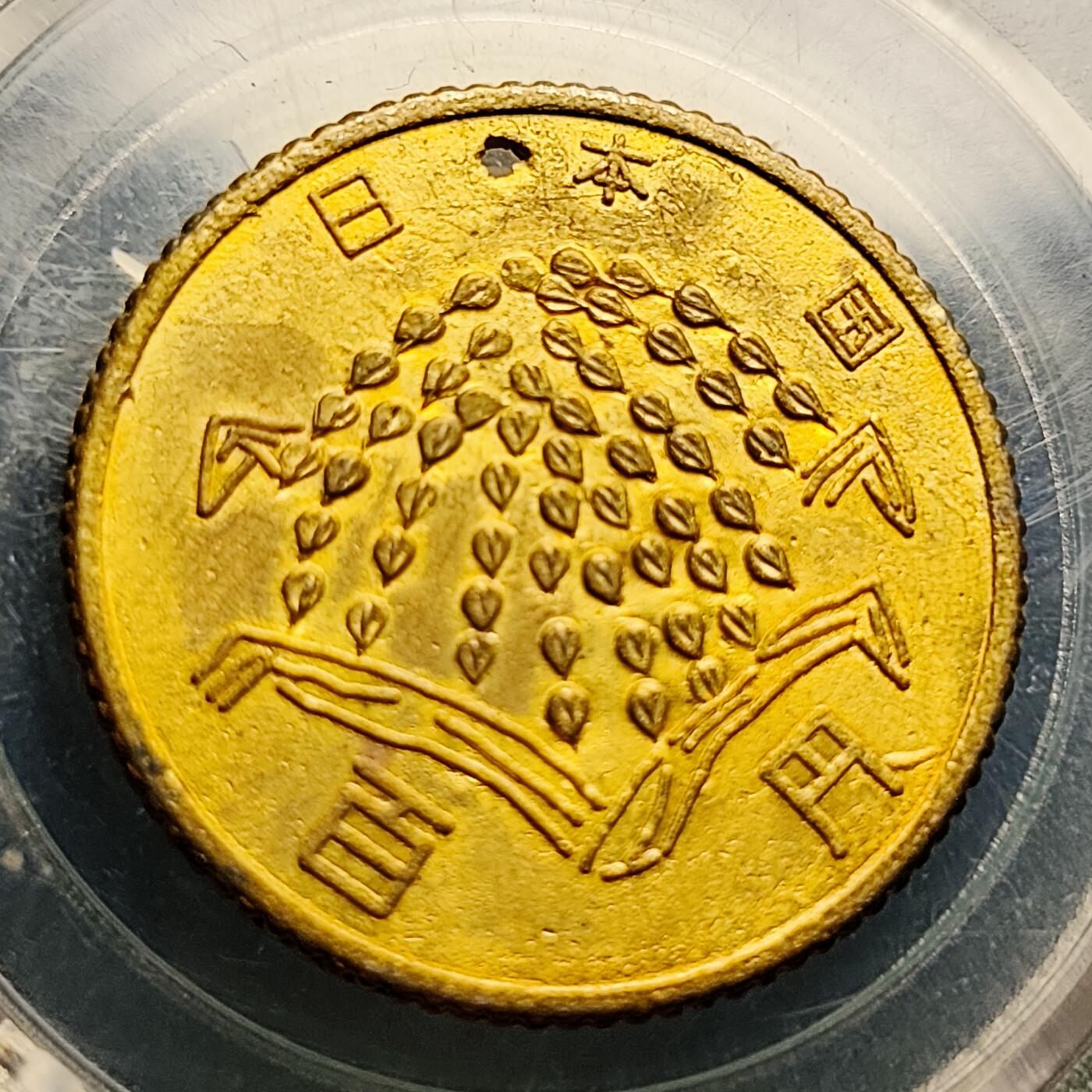 泉币菌-第220场-拍品多 请提前出价