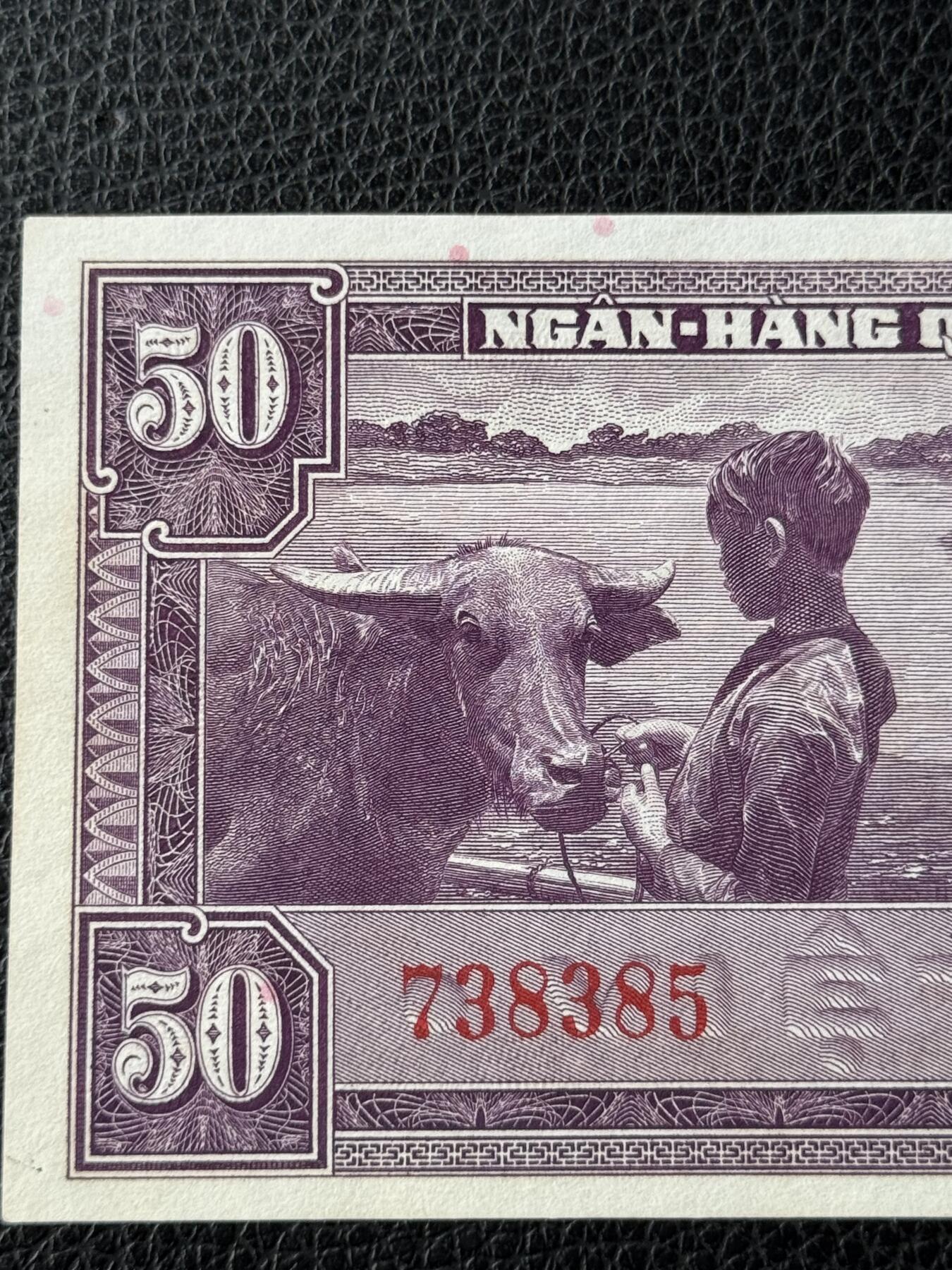 桂P钱币文化工作室拍卖第四十九期 南越共和国1956年50盾，UNC，精美的雕刻版