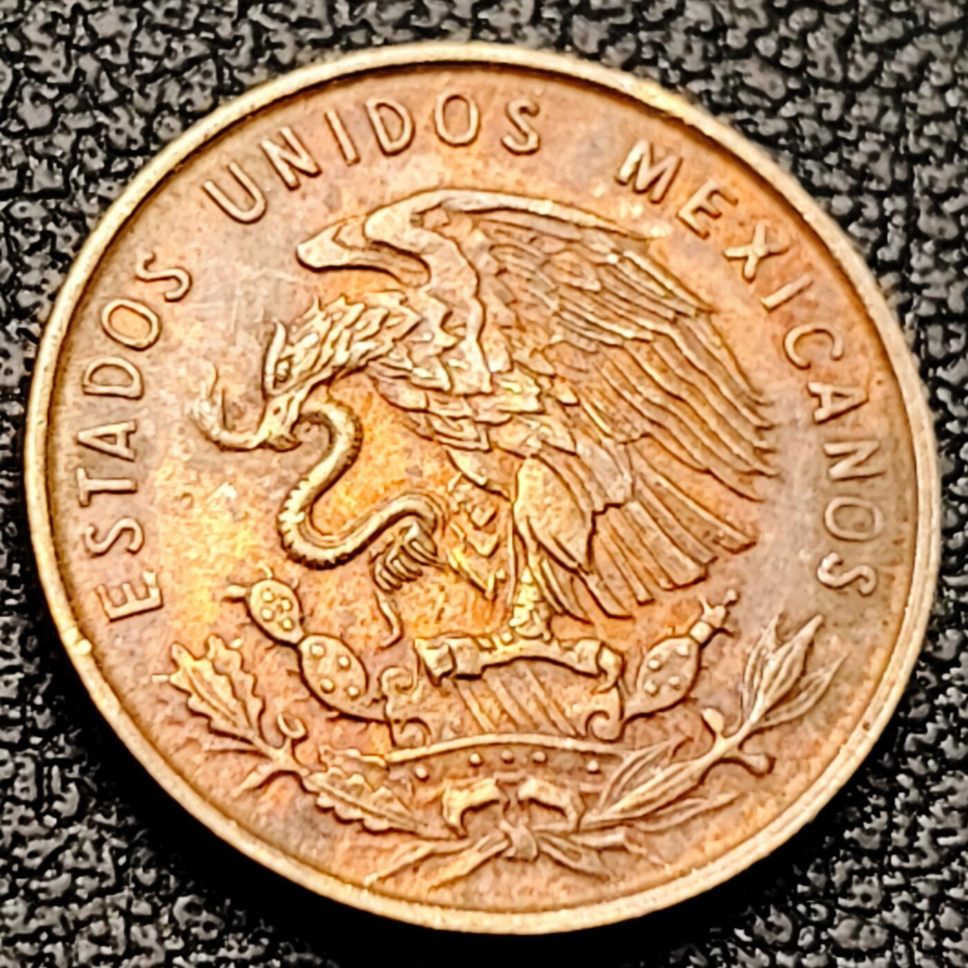 泉币菌-第220场-拍品多 请提前出价 。