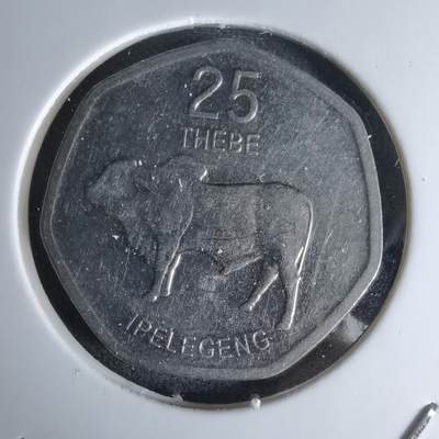 沼泽如烟--第1045场 - 博茨瓦纳2013年25西比