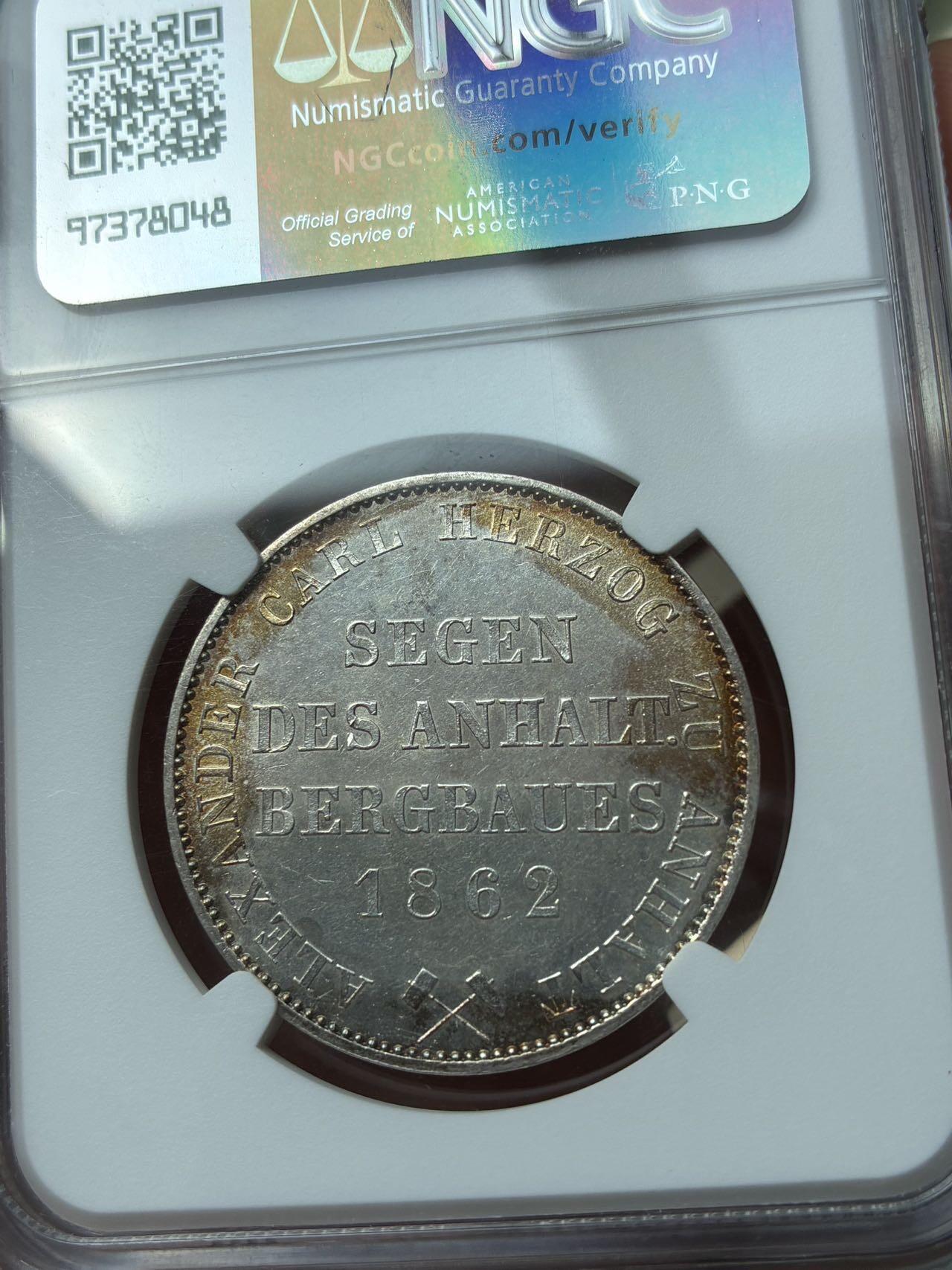 安哈特小熊爬墙泰勒