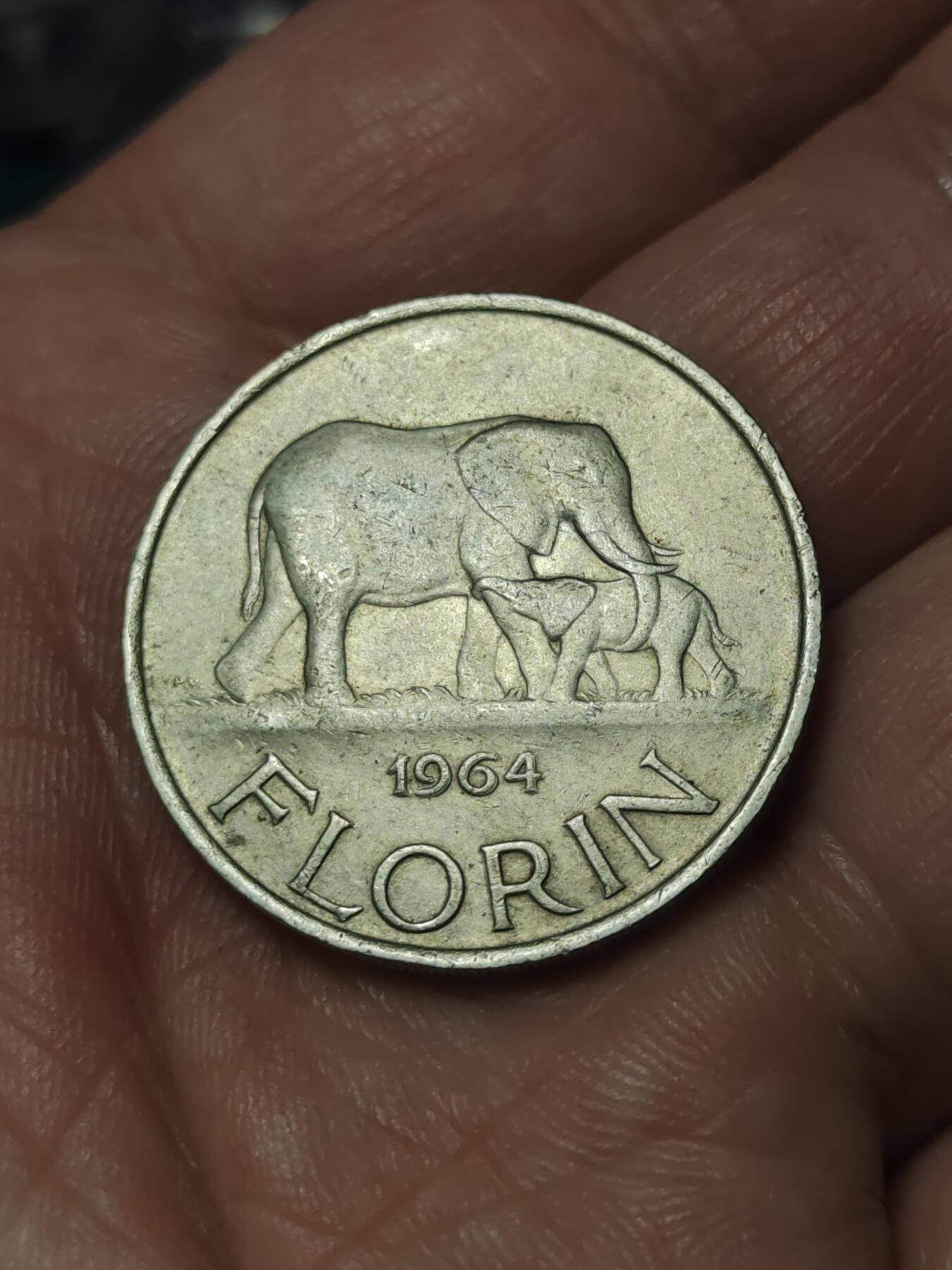 2026年第四十一场(总第二百一十场）外国好品散币场(免佣金)