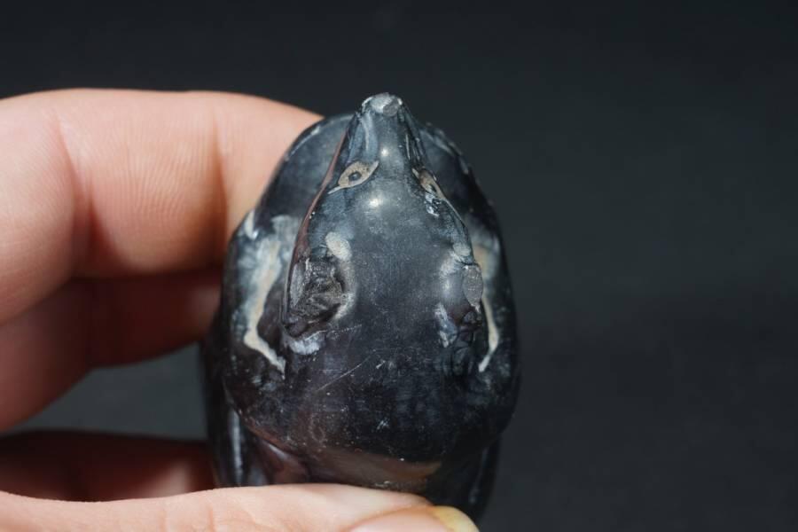 上海都达杂项专场六十六【全场包邮】 老石雕仿古熊摆件62-321