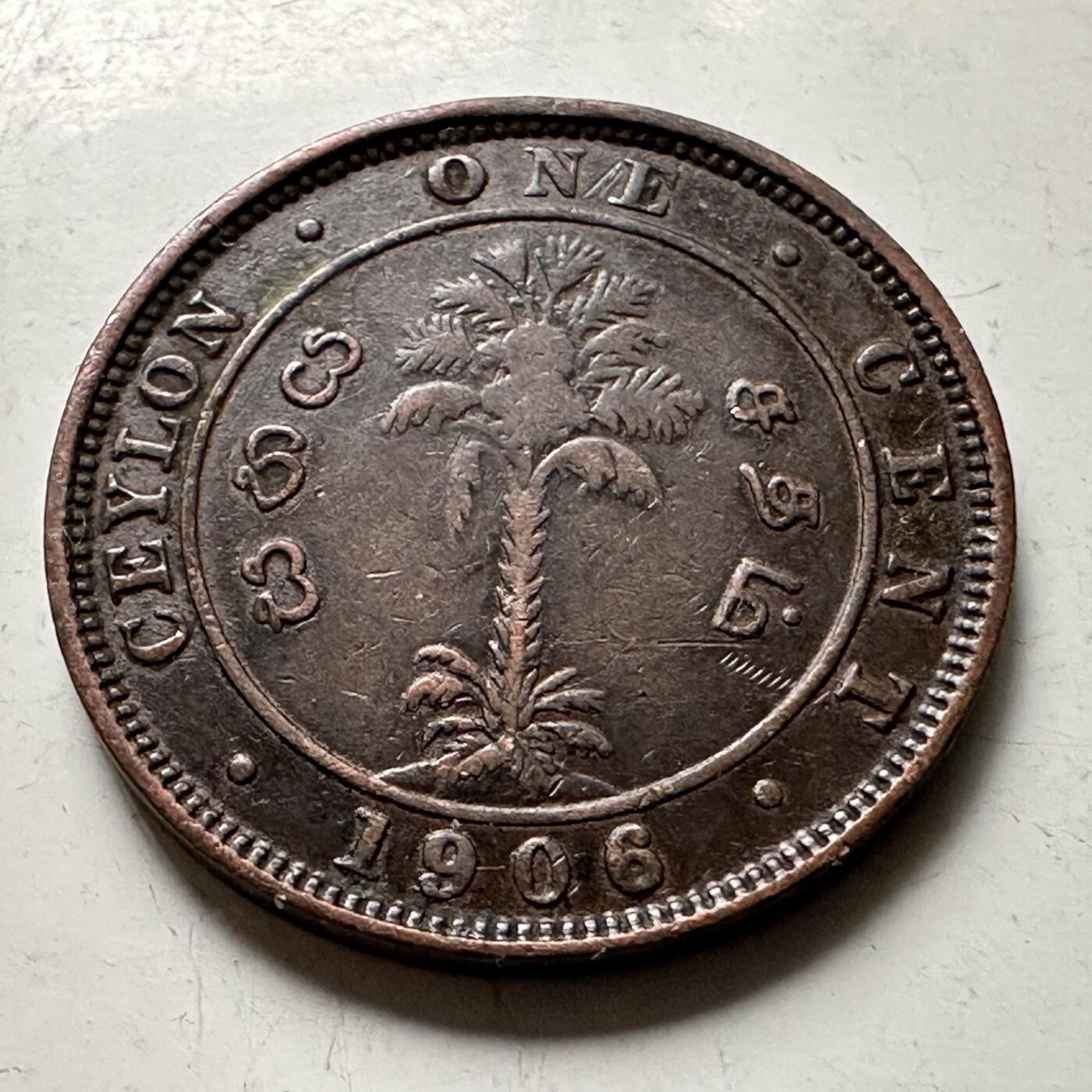 🌹外币初藏🌹🐯2026年第38场   每周二四六晚8️⃣点 世界钱币