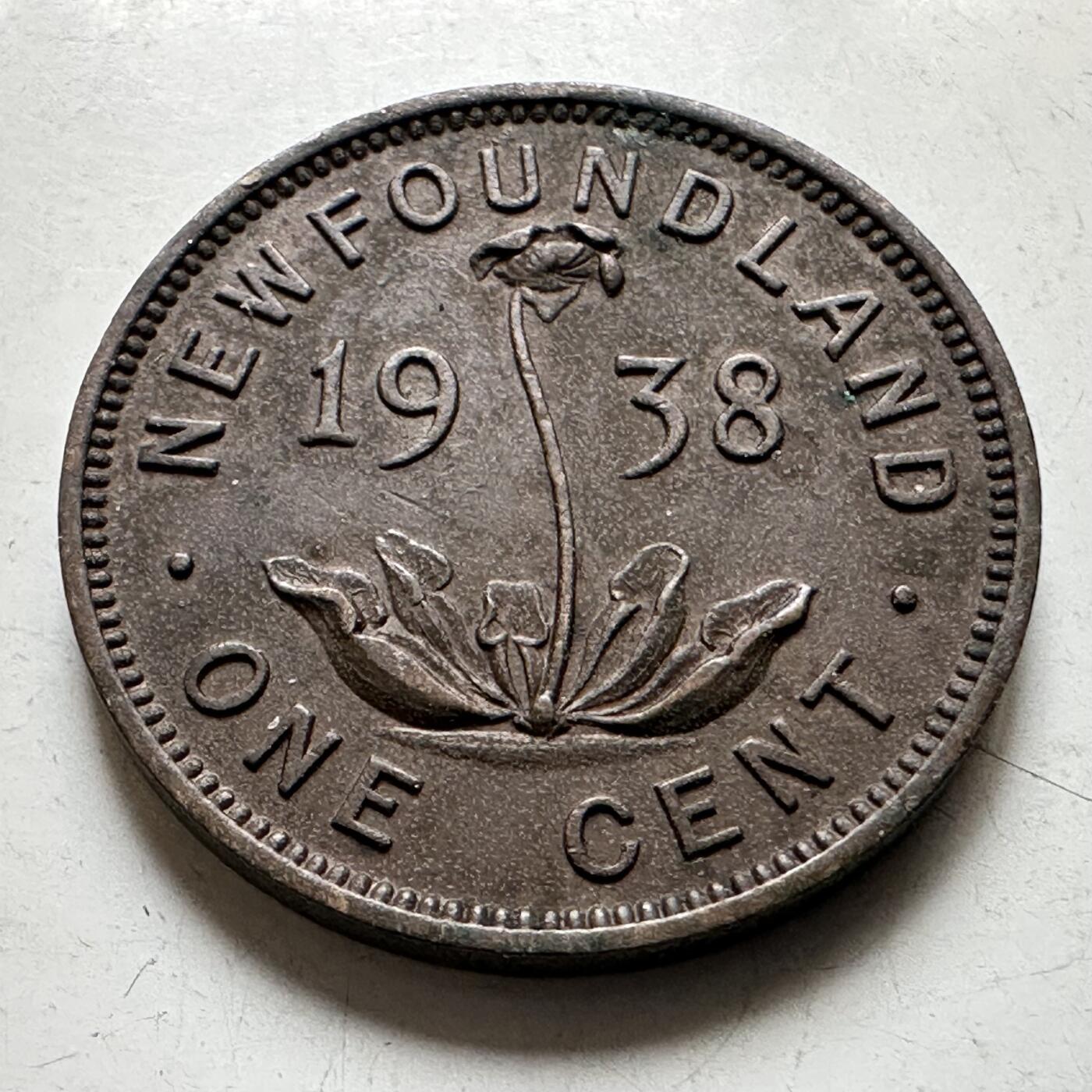 🌹外币初藏🌹🐯2026年第38场   每周二四六晚8️⃣点 世界钱币