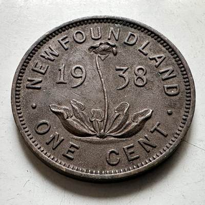 🌹外币初藏🌹🐯2026年第38场   每周二四六晚8️⃣点 世界钱币 - 纽芬兰1938年 乔治六世一分