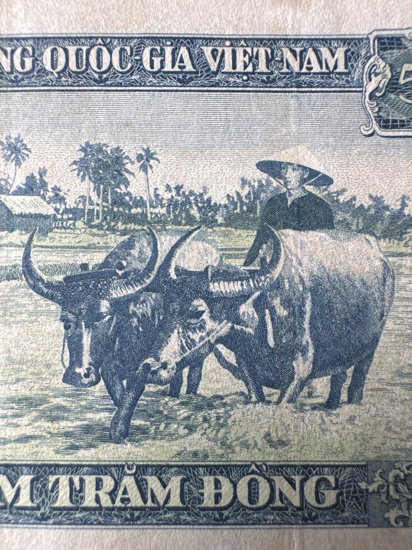 桂P钱币文化工作室拍卖第四十九期 南越共和国1962年500盾，吴庭艳头像，罕见品种，国内几乎没有几个卖的