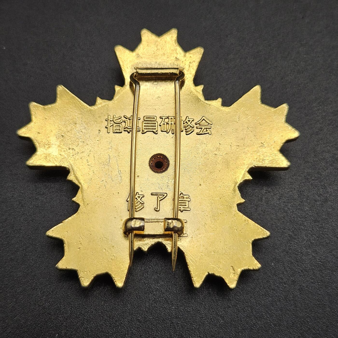 0元起拍勋章 第344期 咸鱼国勋章拍卖专场 4月8日（周三）下午6：00开始