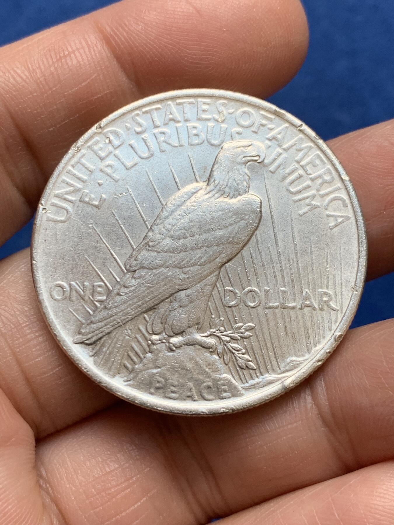 《竞宝斋》第477场 周日，周一 2场连拍 （全场包邮）欢迎送拍 美国1924年和平鸽1美元银币