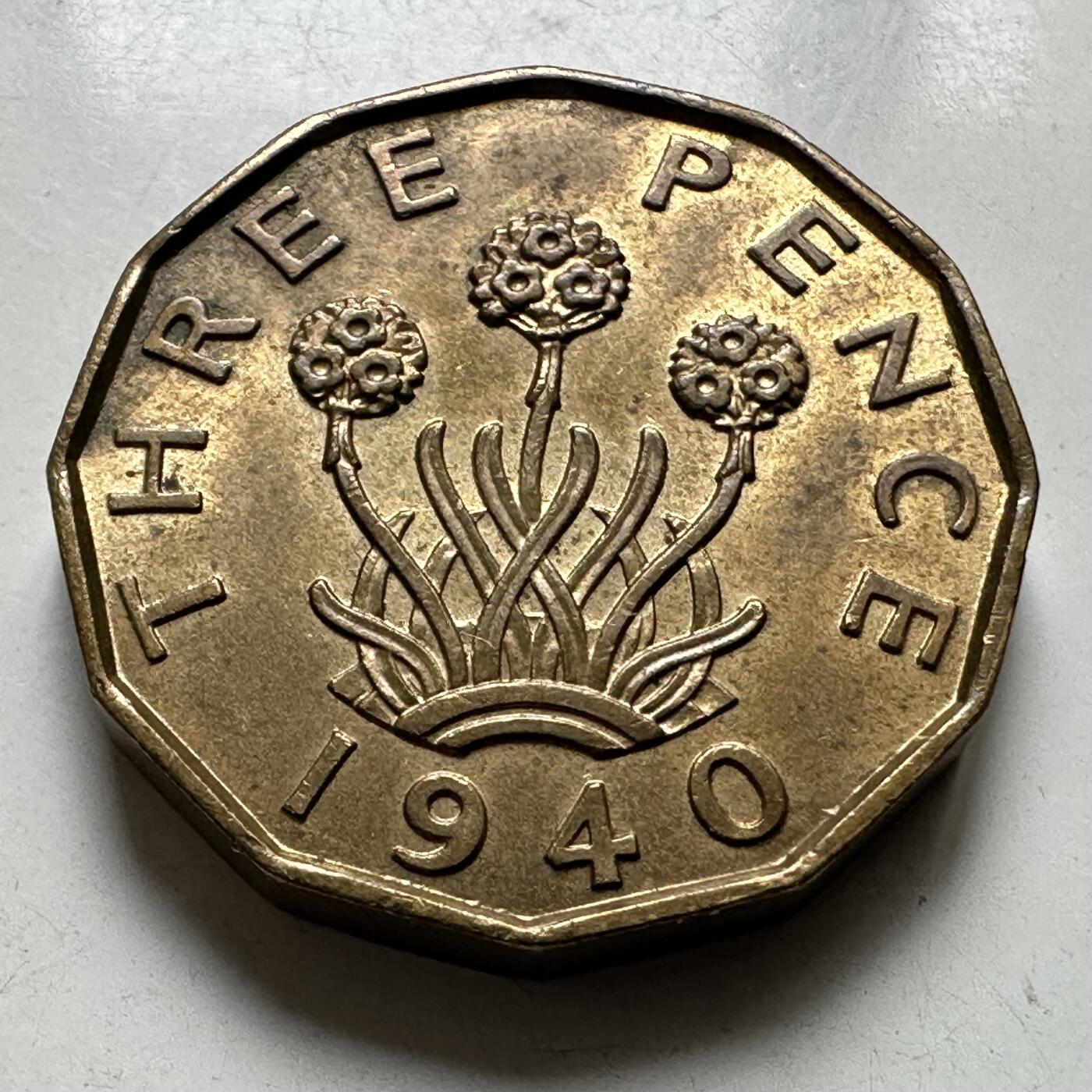 🌹外币初藏🌹🐯2026年第38场   每周二四六晚8️⃣点 世界钱币