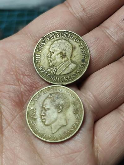 2026年第四十一场(总第二百一十场）外国好品散币场(免佣金) - 肯尼亚🇰🇪1971年5分(独立后第二套)，坦桑尼亚🇹🇿1966年20分(独立后第一套，首发年)两枚