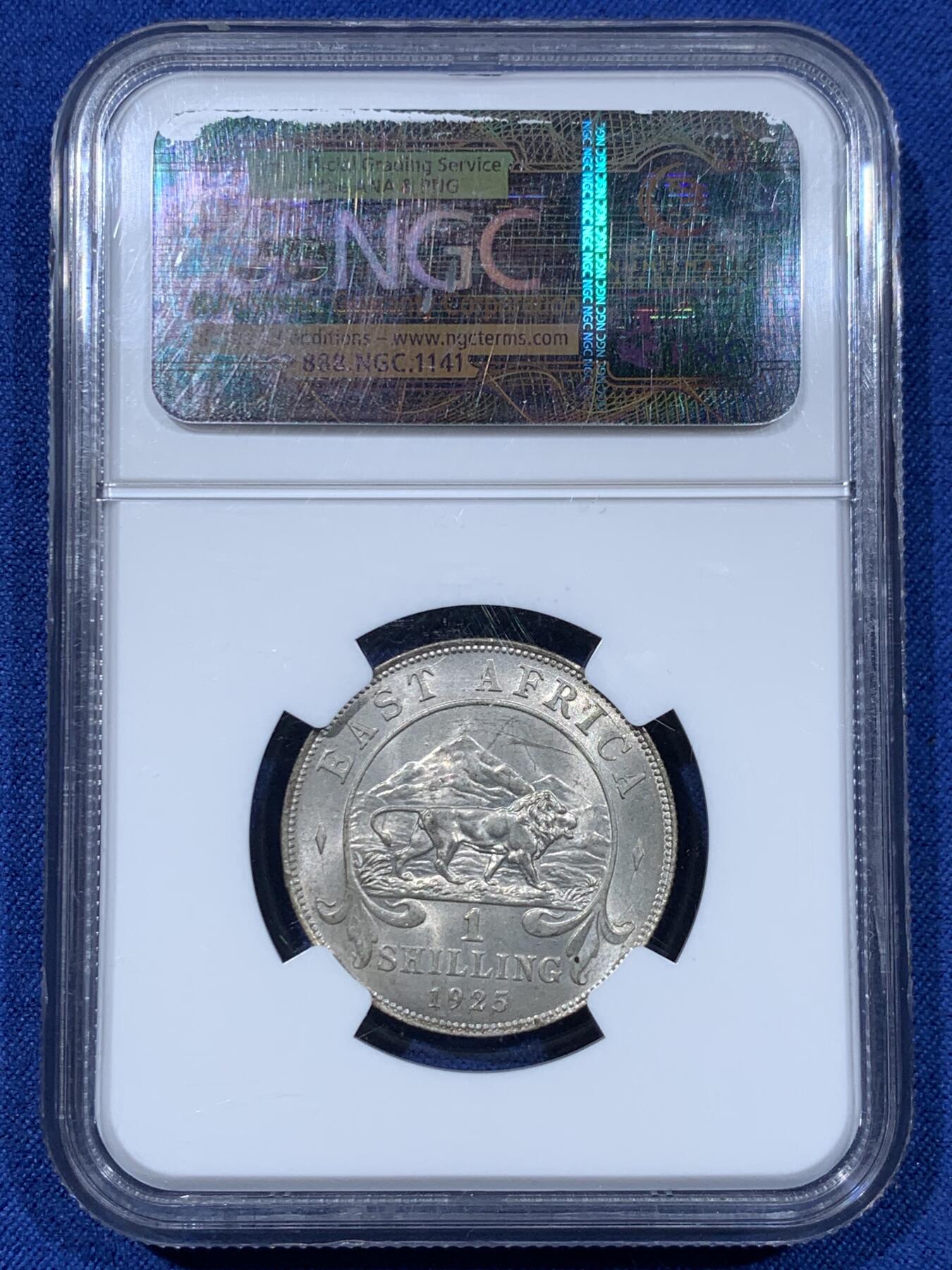 《竞宝斋》第477场 周日，周一 2场连拍 （全场包邮）欢迎送拍 NGC MS63 东非1925年乔治五世1先令银币，原光，最大面值主币。肌肉虬结的雄狮漫步于乞力马扎罗山下，图案设计极富特色。老N盒保障，银光丝滑。此前竞宝斋同分1008元不含佣成交