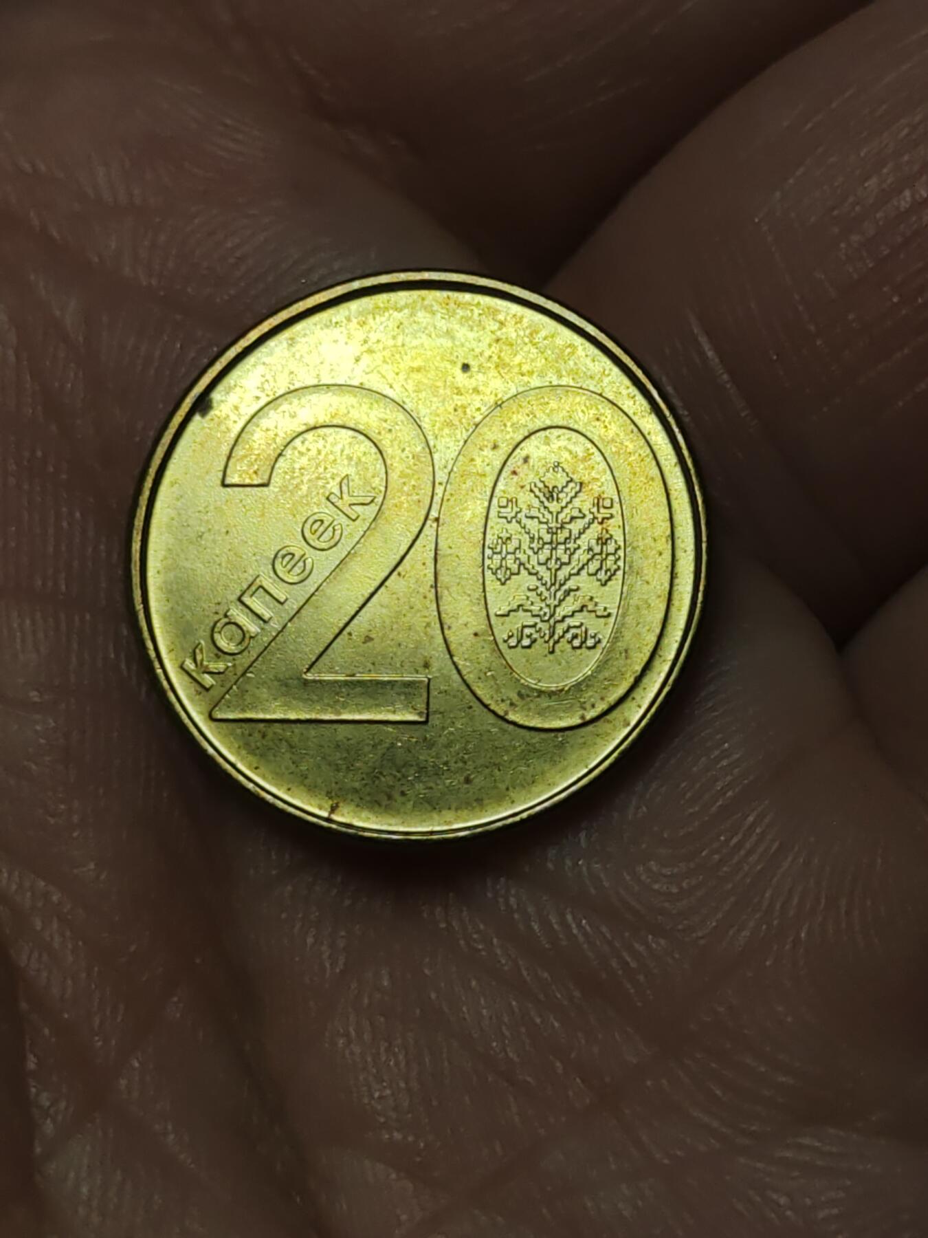 2026年第四十一场(总第二百一十场）外国好品散币场(免佣金) 白俄罗斯🇧🇾2009年20戈比(首发年)