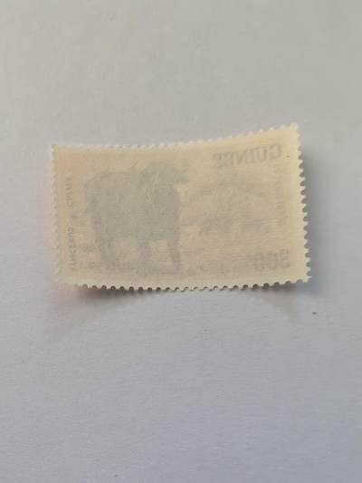 杂票 几内亚邮票 牛1枚新高值