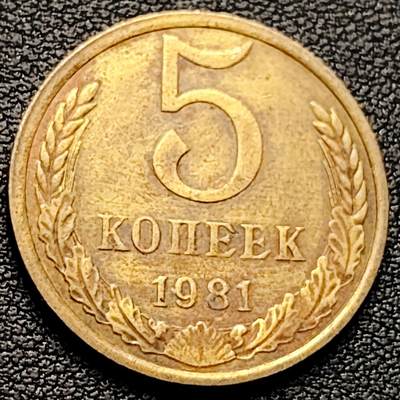 泉币菌-第220场-拍品多 请提前出价 - 前苏联5戈比铜币 1981年 25mm