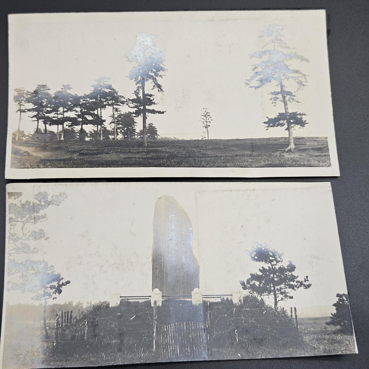 0元起拍勋章 第344期 咸鱼国勋章拍卖专场 4月8日（周三）下午6：00开始