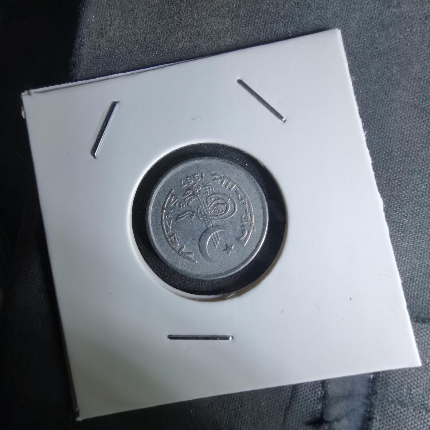 沼泽如烟--第1045场