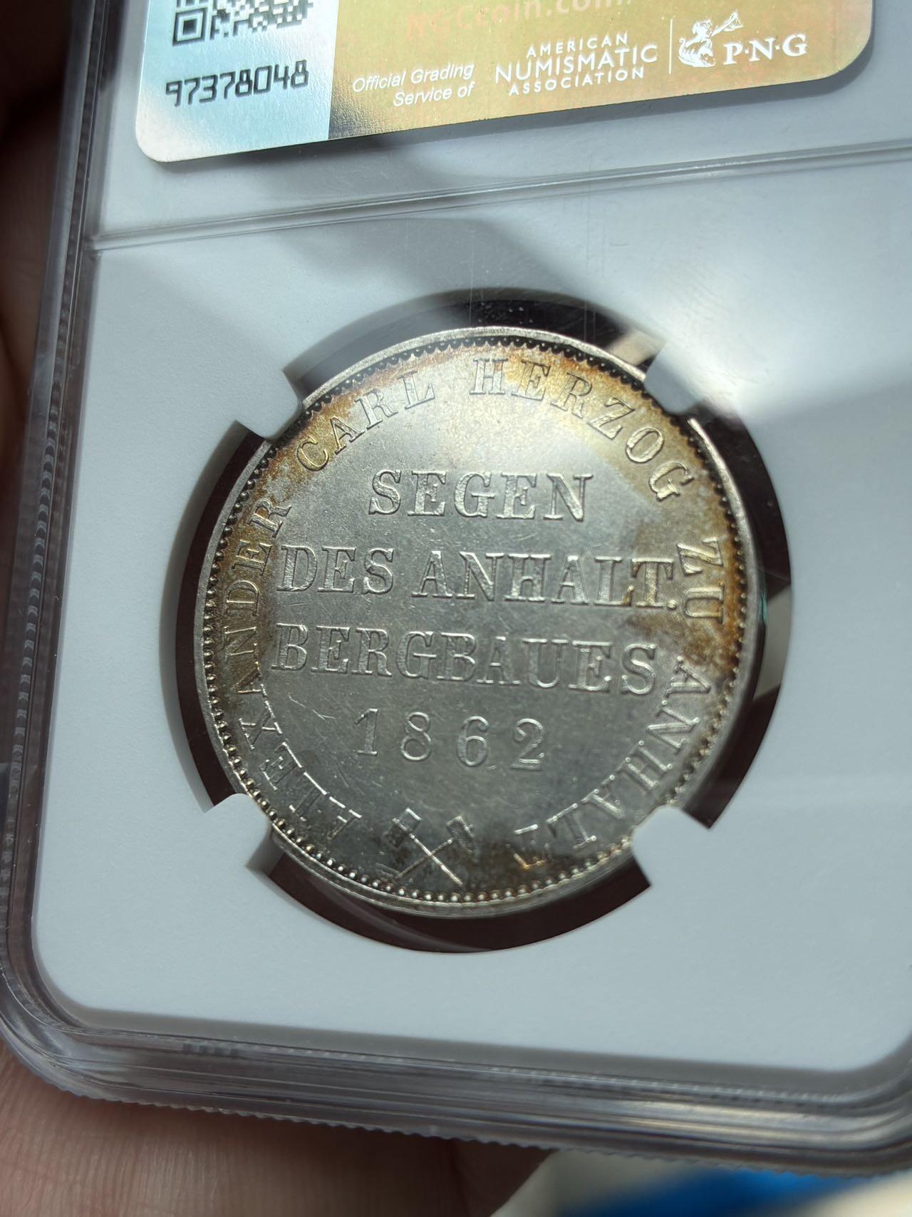 安哈特小熊爬墙泰勒