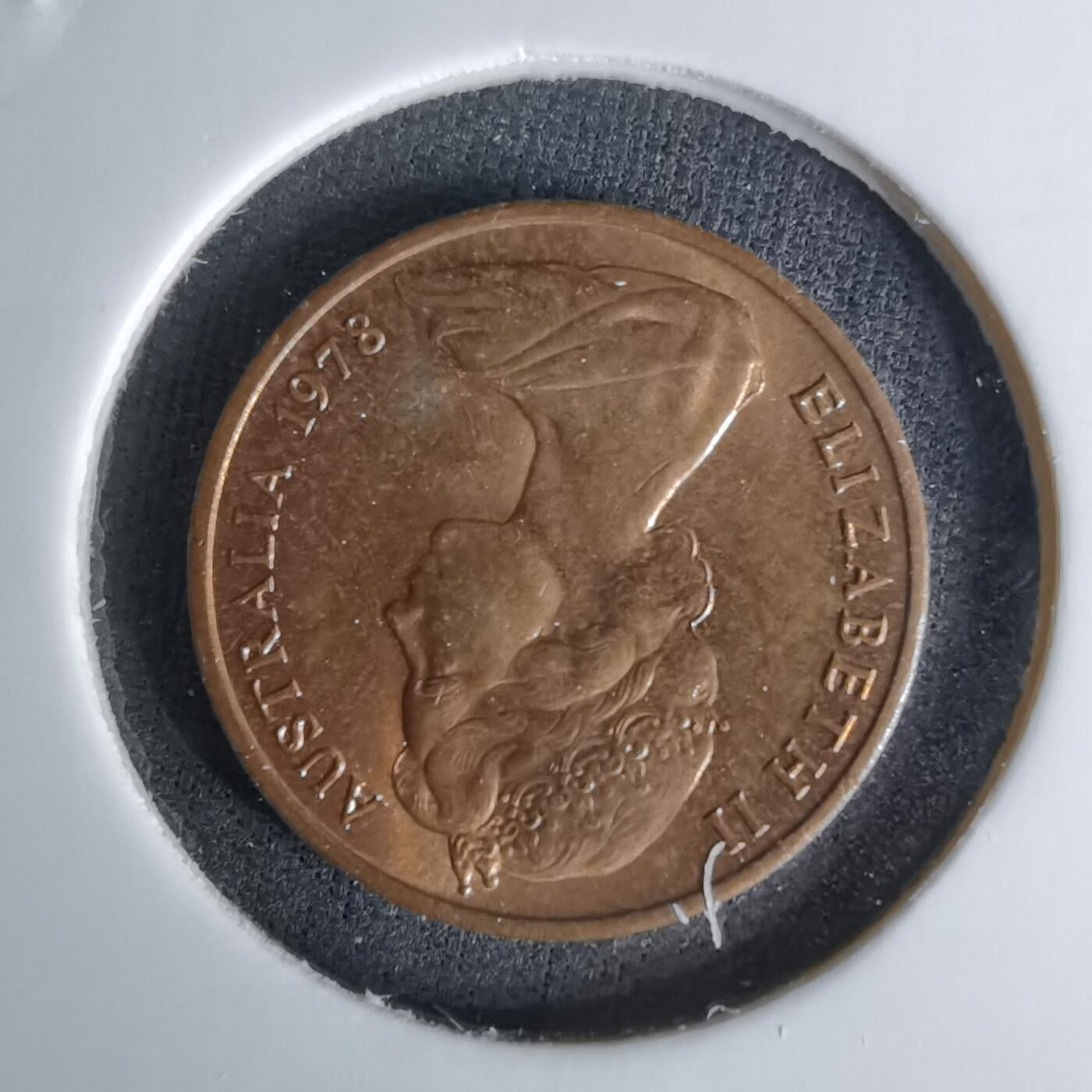 沼泽如烟--第1045场