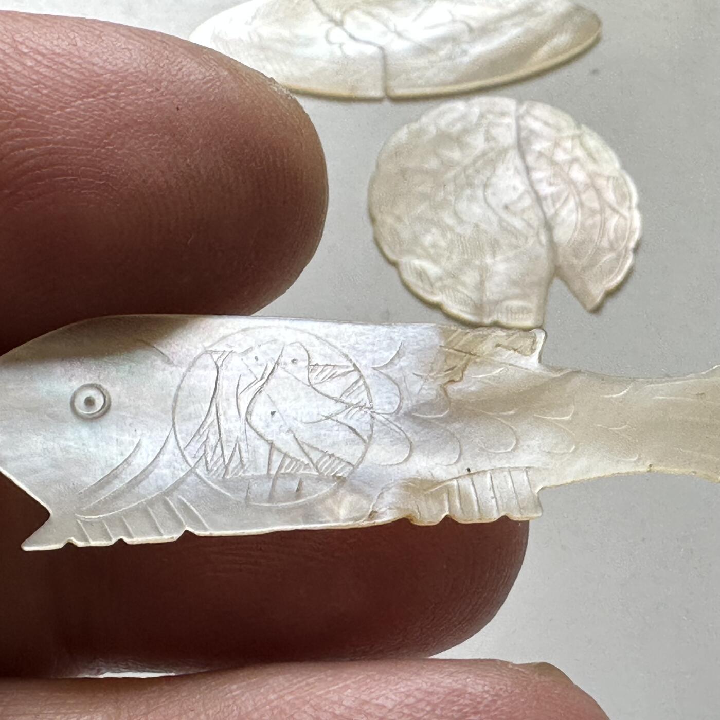 🌹外币初藏🌹🐯2026年第38场   每周二四六晚8️⃣点 世界钱币