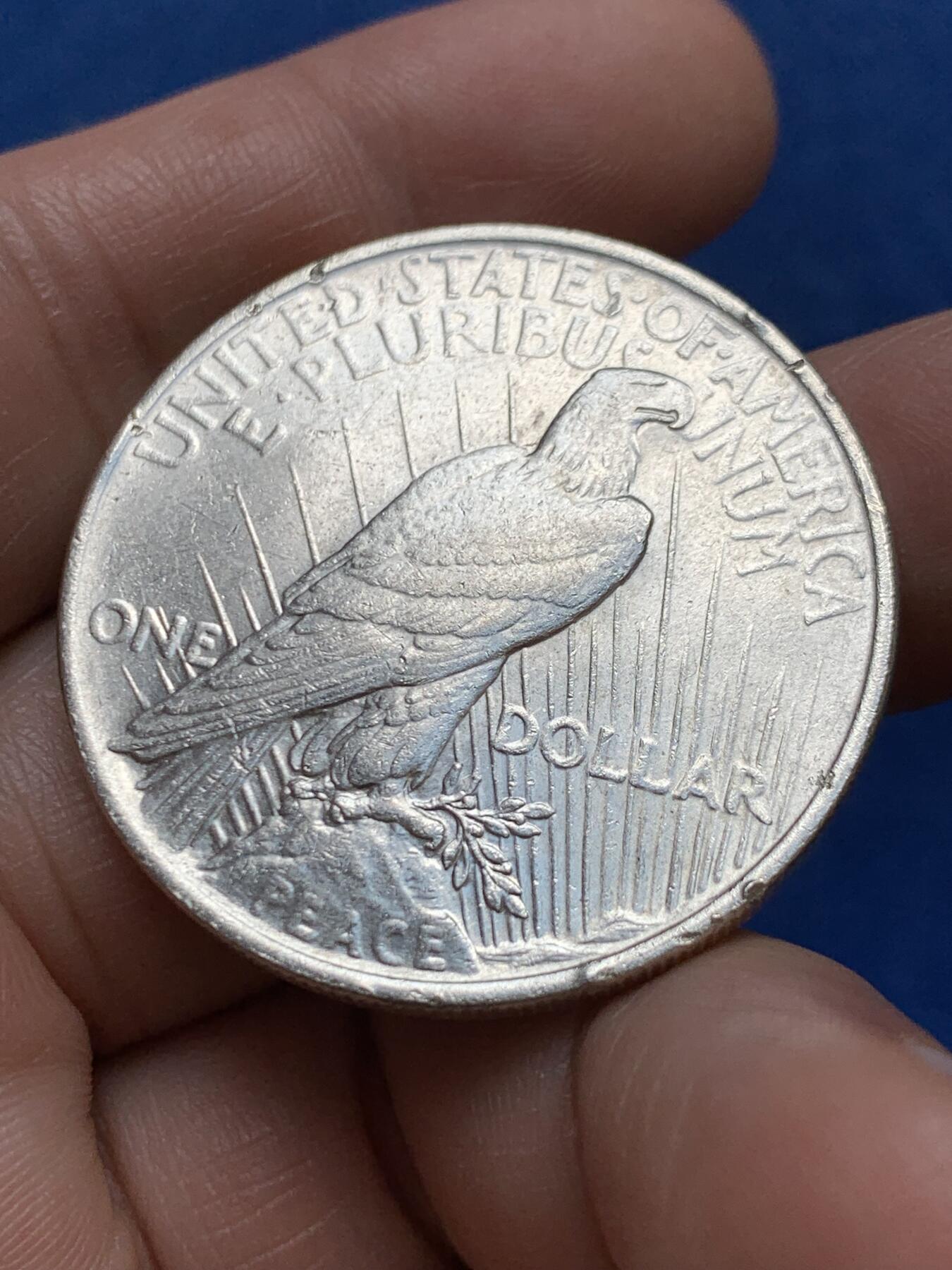 《竞宝斋》第477场 周日，周一 2场连拍 （全场包邮）欢迎送拍 美国1924年和平鸽1美元银币