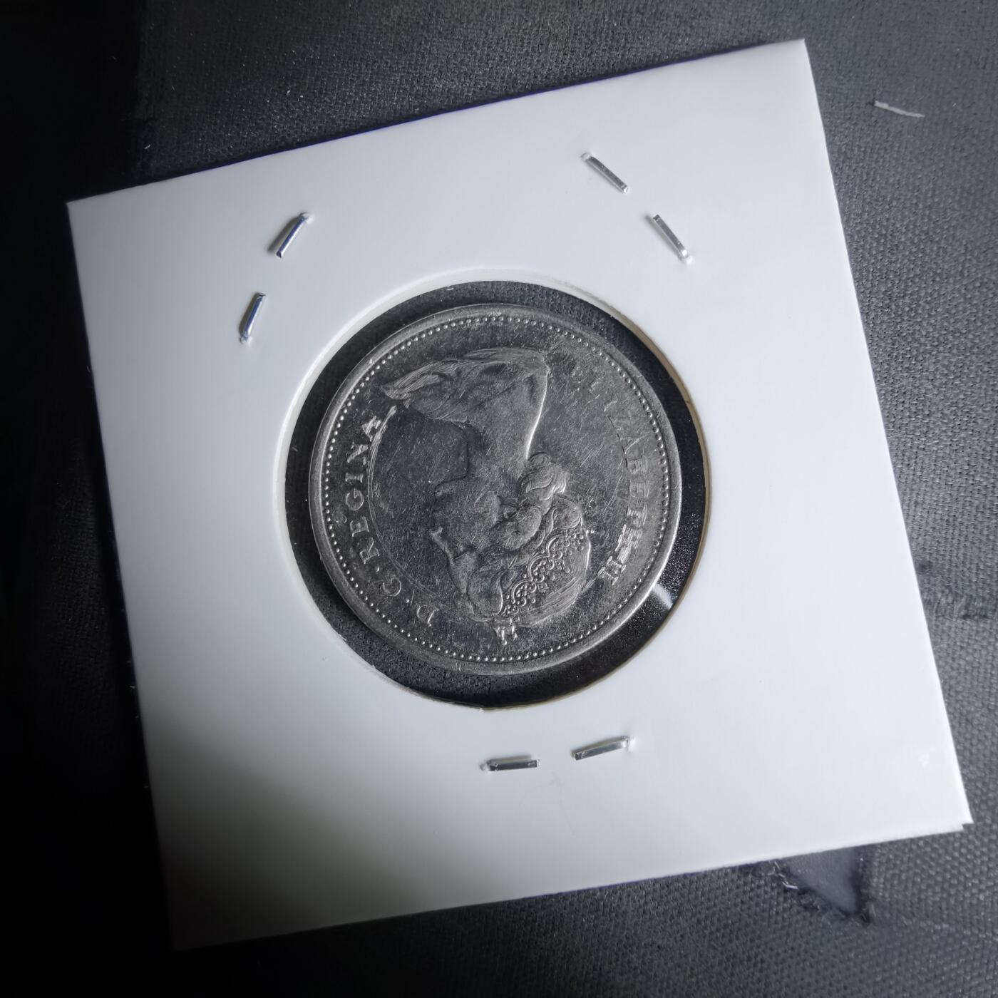 沼泽如烟--第1045场