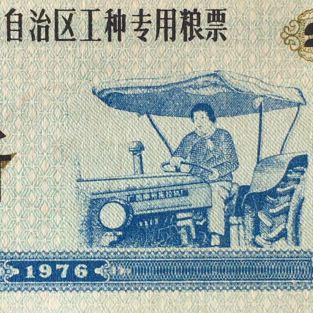 稀少1976广西贰市斤工种专用粮票人物全新品相1枚真品票证文玩收藏