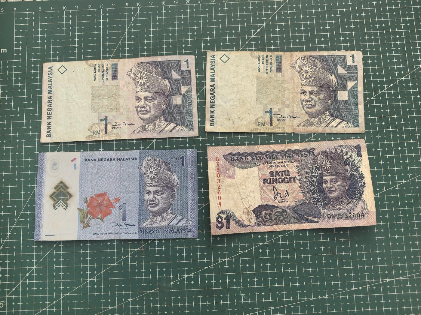 轻松集币无压力 马来西亚1林吉特/组