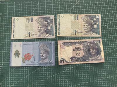 轻松集币无压力 - 马来西亚1林吉特/组