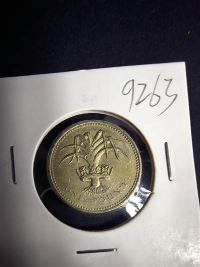 泡泡堂微拍2026.4.5第3场 - 英镑。