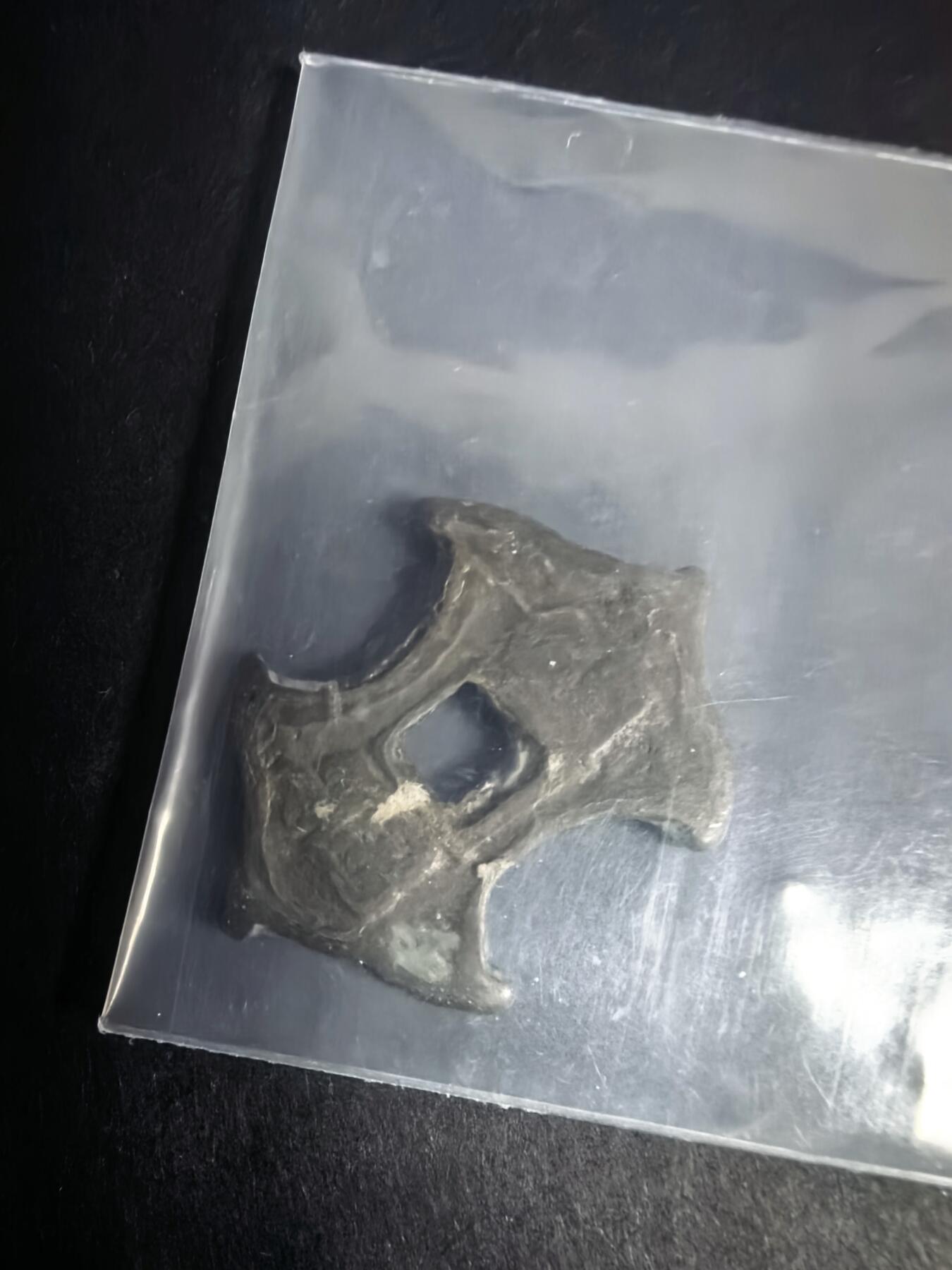 泡泡堂微拍2026.4.5第3场 朝鲜花钱