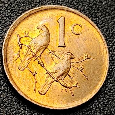 泉币菌-第221场-拍品多 请提前出价 - 麻雀 南非1982年1分青铜币 19毫米 3.0克 铜钱纪念币