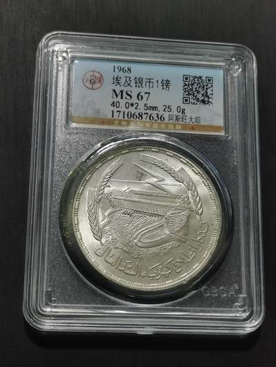 天下钱庄专场欢迎参拍 - 埃及1磅银币