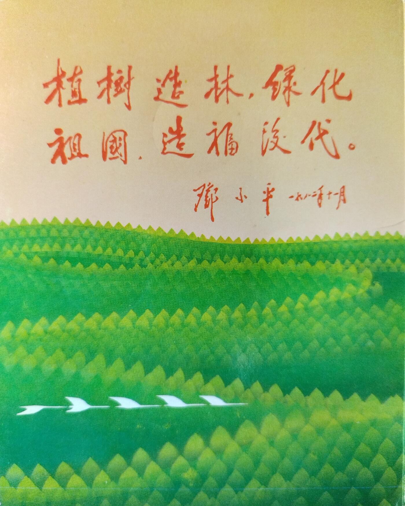 1991年绿化祖国特制流通纪念币卡，三枚一套，面值1元，中国金币总公司+中国绿化基金会联合发行，上海造币厂制造。卡面有绿色地图，主题全民义务植树、美化祖国造福人类、治理山河保护生态，背面有植树节字样。按图发货！