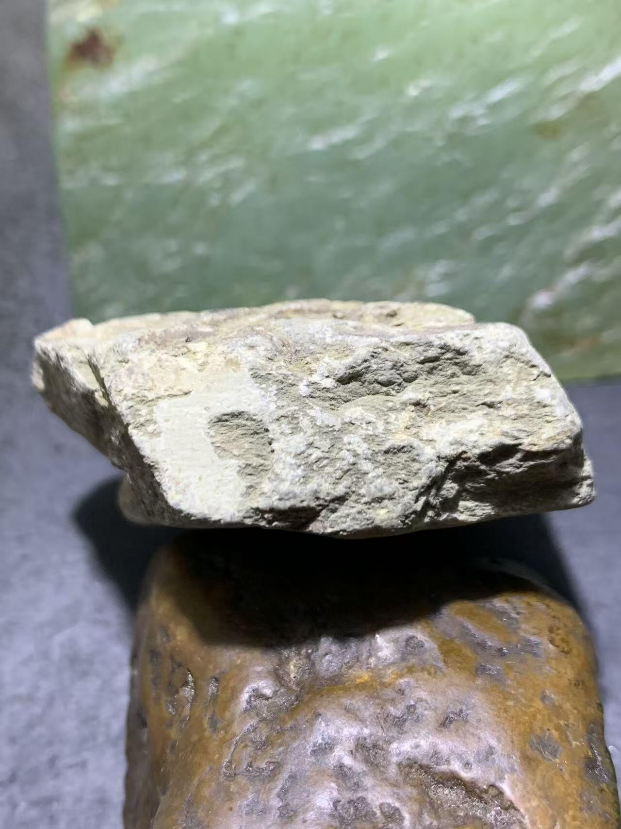 精美天然湘西三叶虫尾巴化石王冠虫张氏虫古生物化石标本原石一颗