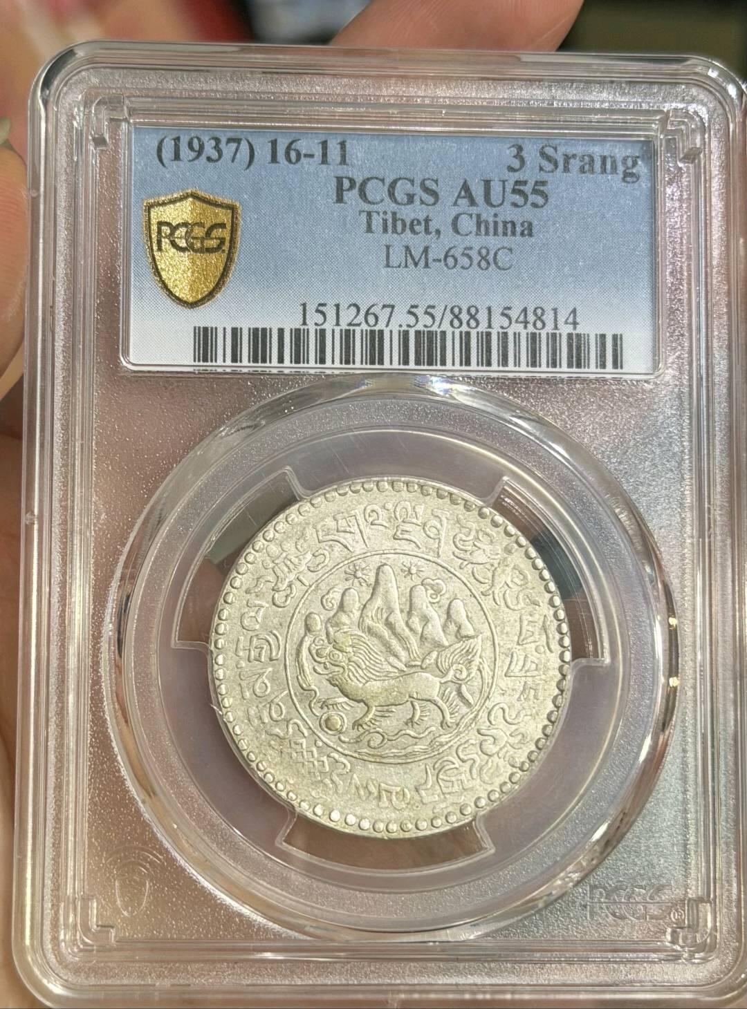 PC55桑松果木三两 大桑松