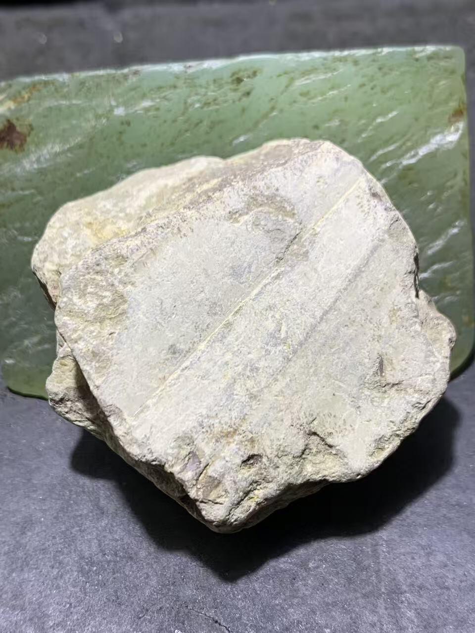 精美天然湘西三叶虫尾巴化石王冠虫张氏虫古生物化石标本原石一颗