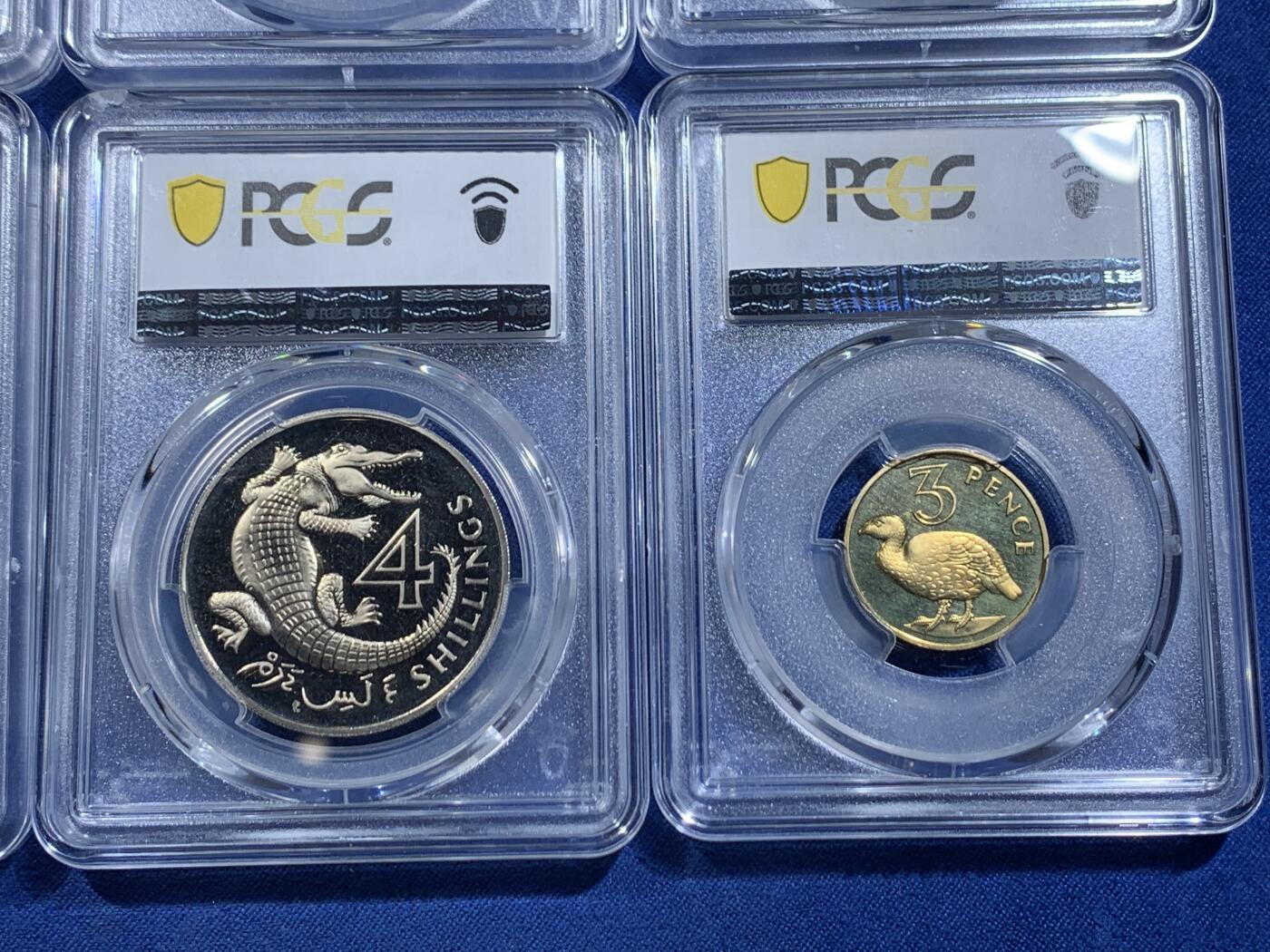 《竞宝斋》第478场 周日，周一 2场连拍 （全场包邮）欢迎送拍 PCGS PR63-PR65 英属冈比亚1966年伊丽莎白女王版精制套币6枚，送PCGS收纳盒1个