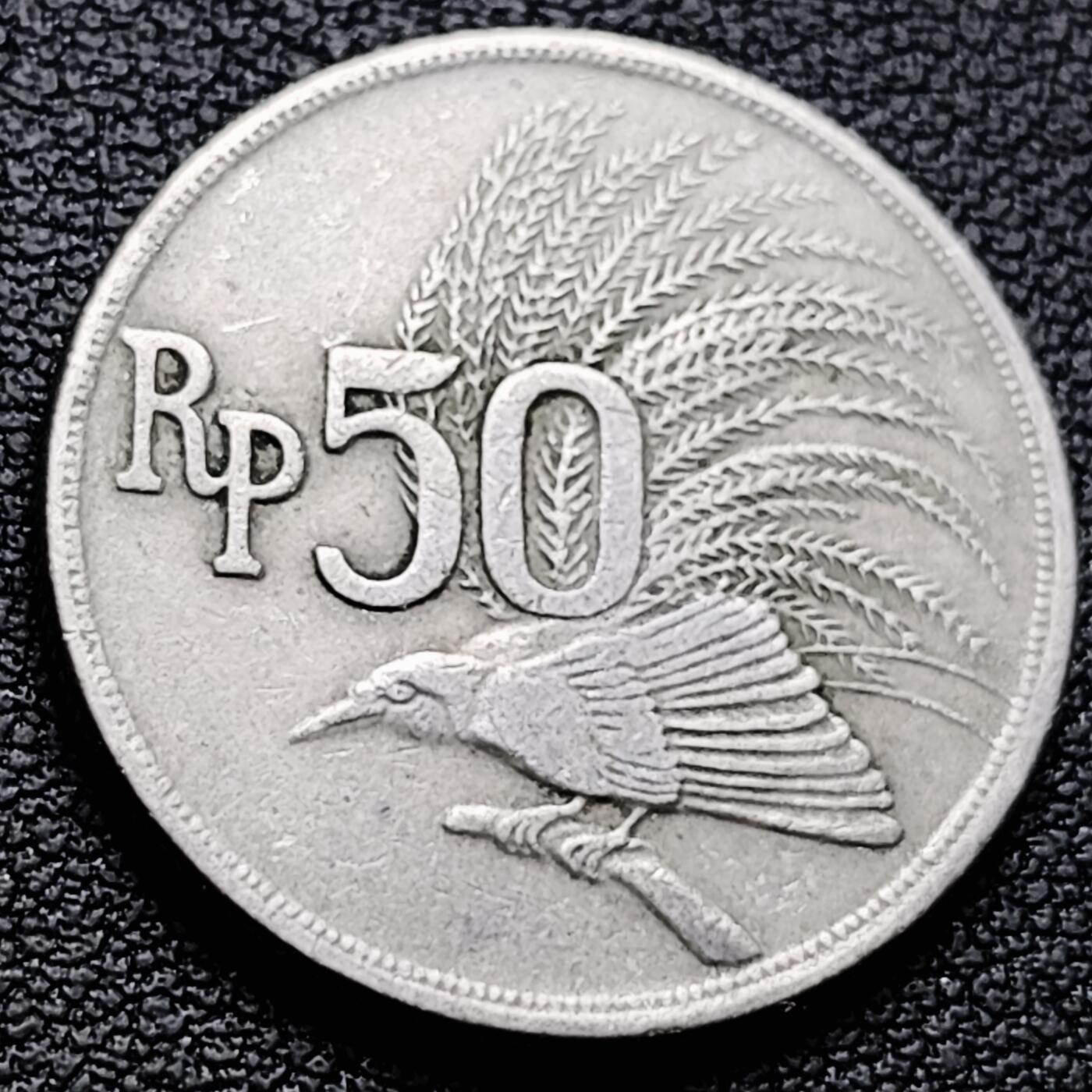 泉币菌-第221场-拍品多 请提前出价