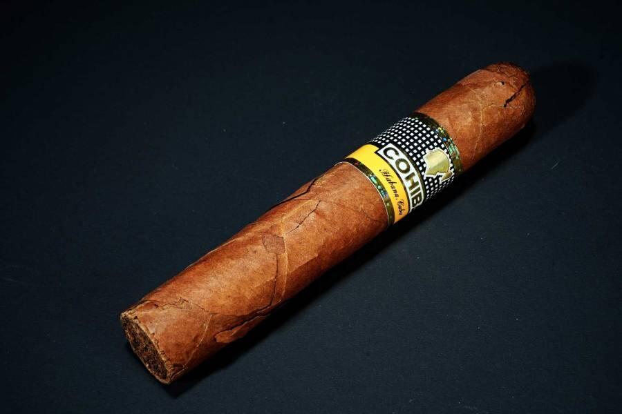 上海都达杂项专场六十八【全场包邮】 高希霸罗布图雪茄一根95-29