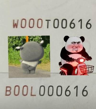 四版荧光币42 - 面值200，双胞胎一对