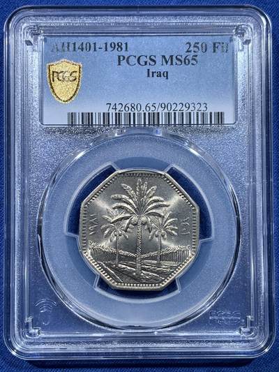 《竞宝斋》第478场 周日，周一 2场连拍 （全场包邮）欢迎送拍 - PCGS MS65 伊拉克1981年椰树250费尔多边形镍币 车轮光状态 冠军分！