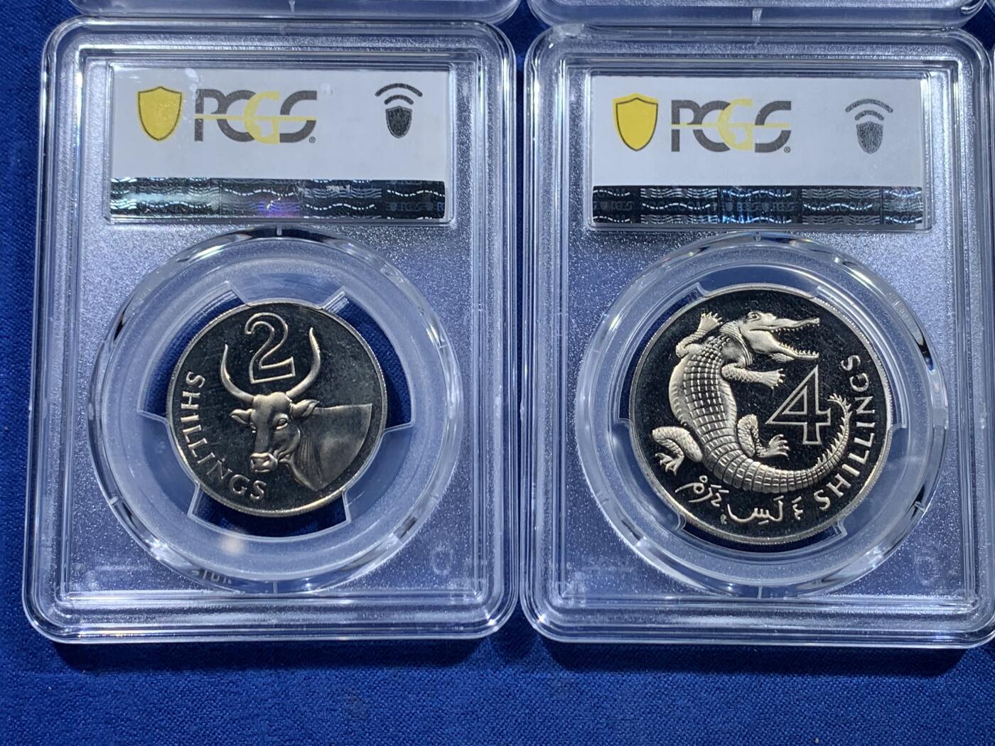 《竞宝斋》第478场 周日，周一 2场连拍 （全场包邮）欢迎送拍 PCGS PR63-PR65 英属冈比亚1966年伊丽莎白女王版精制套币6枚，送PCGS收纳盒1个